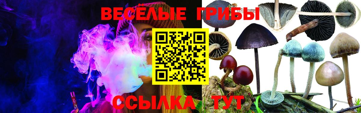 Псилоцибиновые грибы MAGIC MUSHROOMS Ейск